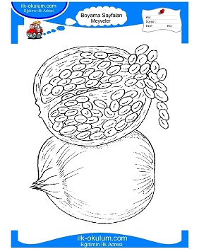 Çocuklar İçin Meyve Boyama Sayfaları 